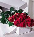 USA Valentine's Day USA,,:The One Dozen Boxed Roses