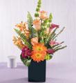 USA Valentine's Day USA,,:The Breathtaking Blooms Bouquet