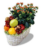 USA Bosses' Week USA,,:The FTD Fruits & Flowers