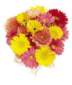 USA Bosses' Week USA,,:Hand Tied Gerbera Daisies - Mixed Colors, w/ greens