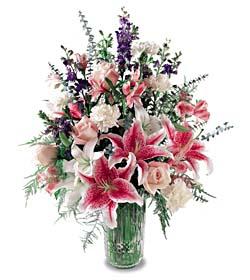 The FTD?Star Gazer Bouquet