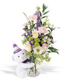  USA Flower USA Florist  USA  Flowers shop USA flower delivery online  ,:Teleflora's Party Bear