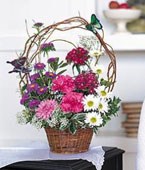  USA Flower USA Florist  USA  Flowers shop USA flower delivery online  ,:Birthday Butterflies