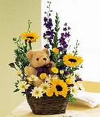 USA New Baby USA,,:Basket & Bear Arrangement