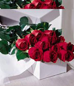 USA Congratulations USA,,:The FTD?One Dozen Boxed Roses