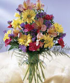  USA Flower USA Florist  USA  Flowers shop USA flower delivery online  ,:The FTD?Festive Wishes