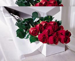 The FTD?One Dozen Boxed Roses