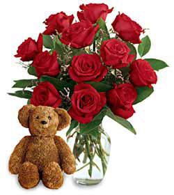 Dozen Roses with a Bear