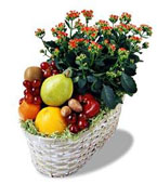 USA Gourmet Baskets USA,,:The FTD?Fruits & Flowers