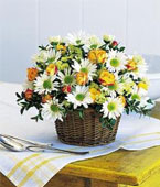 USA Best Sellers USA,,:Joyful Roses and Daisies