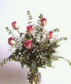  Jordan Flower Jordan Florist  Jordan  Flowers shop Jordan flower delivery online :Bi-Color Pink Roses