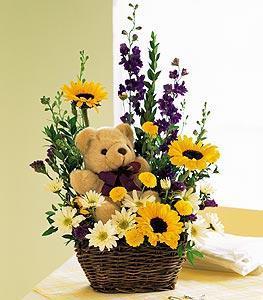 Basket & Bear Arrangement