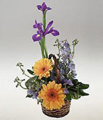  Swiss Flower Swiss Florist  Swiss  Flowers shop Swiss flower delivery online  :Anarrangement for a baby boy.