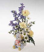 Austria New Baby Austria,:Novelty arrangement for a baby boy.