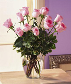  Swiss Flower Swiss Florist  Swiss  Flowers shop Swiss flower delivery online  :New Baby Pink Roses Bouquet