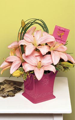 USA mother's day USA,,:The FTD?Spring Garden?Bouquet