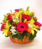  Western Australia Flower Western Australia Florist  Western Australia  Flowers shop Western Australia flower delivery online  Western Australia,WA:BRIGHT MODERN BASKET