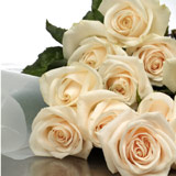 New Zealand Bereavement New Zealand,:Roses Cream in special Wrap