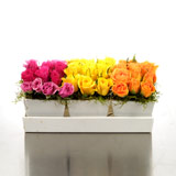 New Zealand Birthday New Zealand,:Trio of Bright Roses in Polystone Tray Vase