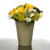  New Zealand Flower New Zealand Florist  New Zealand  Flowers shop New Zealand flower delivery online  :Lemons and Limes Terracotta Pot