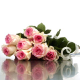 New Zealand Birthday New Zealand,:Wild Pink Roses in a special wrap