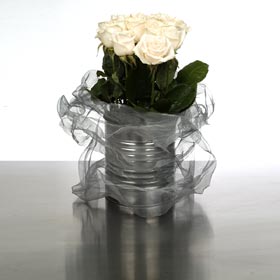 New Zealand Roses New Zealand,:Cream Roses in Metal