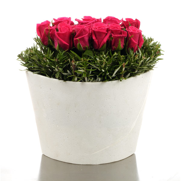 Polystone Vase of Hot Pink Roses