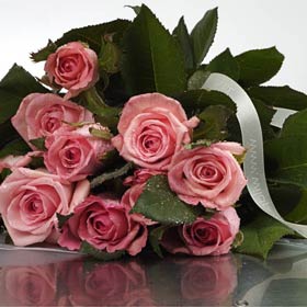 New Zealand Roses New Zealand,:Sweet Moment Pink Roses in a special wrap