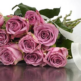 New Zealand Roses New Zealand,:Cool Water Lilac Roses in a special wrap