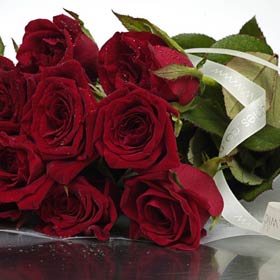 New Zealand Roses New Zealand,:Black Beauty Red Roses in a special wrap