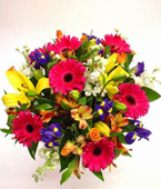  New Zealand Flower New Zealand Florist  New Zealand  Flowers shop New Zealand flower delivery online  :COLOURAMA