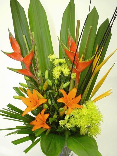  New Zealand Flower New Zealand Florist  New Zealand  Flowers shop New Zealand flower delivery online  :TROPICANA