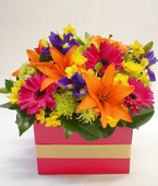  New Zealand Flower New Zealand Florist  New Zealand  Flowers shop New Zealand flower delivery online  :FRESH FUNKY BOX