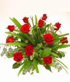 New Zealand Boutique Selection New Zealand,:LONG-STEMMED ROSES