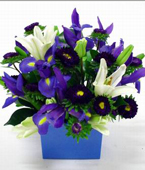  USA Flower USA Florist  USA  Flowers shop USA flower delivery online  ,:BABY BOY BOX