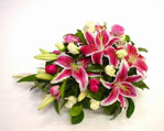  New Zealand Flower New Zealand Florist  New Zealand  Flowers shop New Zealand flower delivery online  :SOFT PINK SPRAY