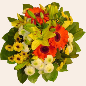 Ireland flower :Joy Bouquet (Normal)