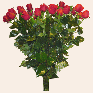 Ireland Get Well Ireland,:Long Stem Roses (80 cm.) (18 Roses)