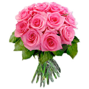  Egypt Flower Egypt Florist  Egypt  Flowers shop Egypt flower delivery online  Egypt:DOZEN PINK ROSES