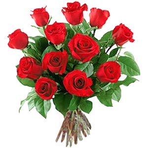  Egypt Flower Egypt Florist  Egypt  Flowers shop Egypt flower delivery online  Egypt:DOZEN RED ROSES