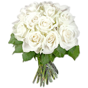  Egypt Flower Egypt Florist  Egypt  Flowers shop Egypt flower delivery online  Egypt:DOZEN WHITE ROSES