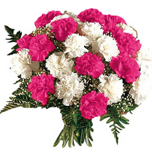  Egypt Flower Egypt Florist  Egypt  Flowers shop Egypt flower delivery online  Egypt:CARNATION BOUQUET