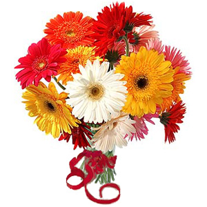  Egypt Flower Egypt Florist  Egypt  Flowers shop Egypt flower delivery online  Egypt:GERBERA BOUQUET