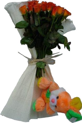  Egypt Flower Egypt Florist  Egypt  Flowers shop Egypt flower delivery online  Egypt:DOZEN RED ROSES WITH TOY