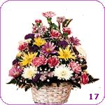  Cyprus Flower Cyprus Florist  Cyprus  Flowers shop Cyprus flower delivery online  :THE LONG AND WINDING ROAD