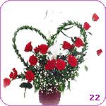  Cyprus Flower Cyprus Florist  Cyprus  Flowers shop Cyprus flower delivery online  :WIND BENEATH MY WINGS