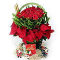 USA Arrangement (Basket) USA,,:Christmas Rose Basket-1