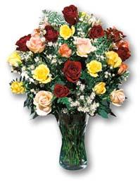  India Flower India Florist  India  Flowers shop India flower delivery online  ,India:Mixed Rose Vase Arrangement