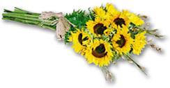 India Bouquet India,,India:Sunflower Bouquet- small