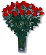  India Flower India Florist  India  Flowers shop India flower delivery online  ,India:Red Rose Vase Arrangement